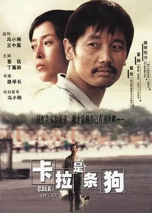 日韩一区二区在线观看