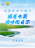 享受Dot